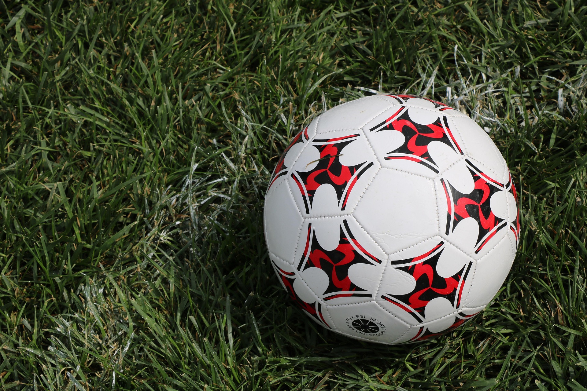 The Ultimate Simple Guide to Betting in BD: Start Winning Today