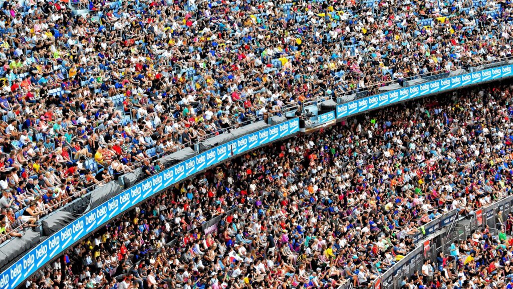Cricket Match Betting